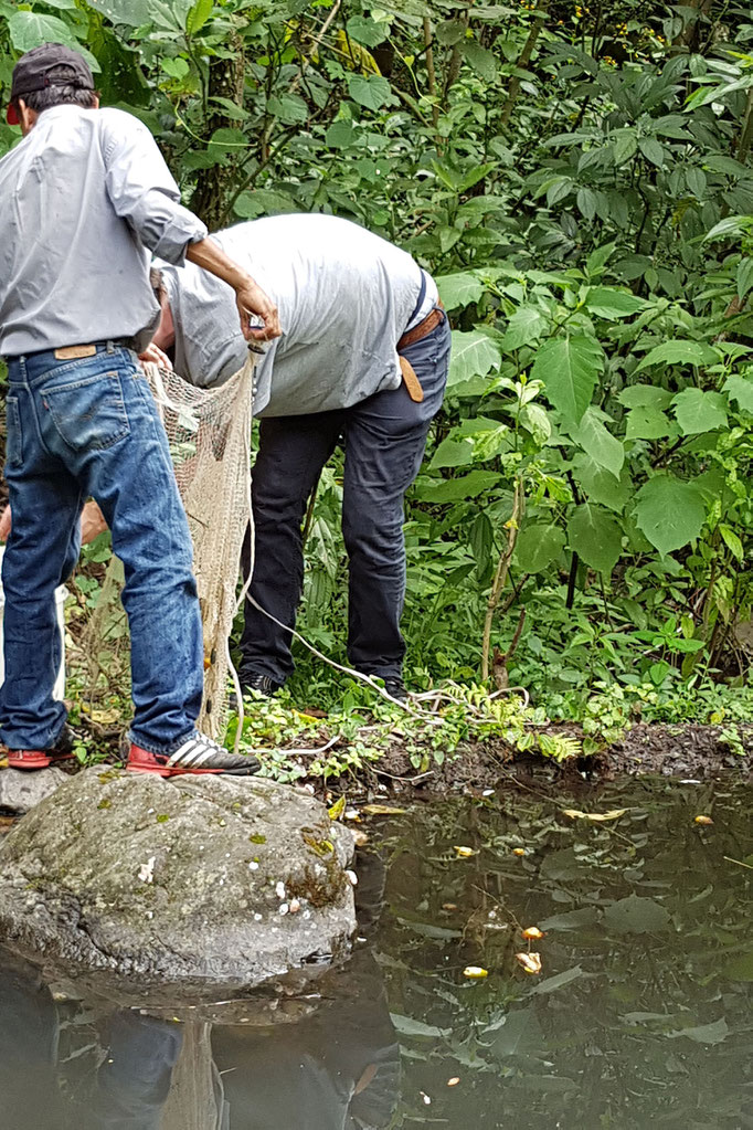 Netzt auseinander sortieren und Fische in den Eimer werfen bzw. von der Erde einsammeln und danach in den Eimer werfen