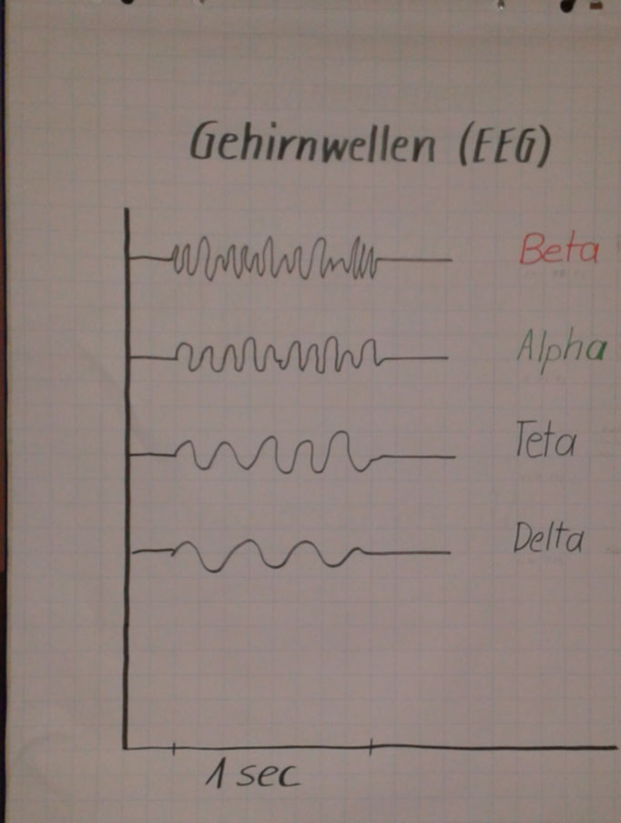 Entspannung im EEG messbar