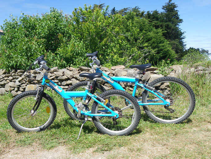 Location de vélos enfants L'Ile d'Yeu