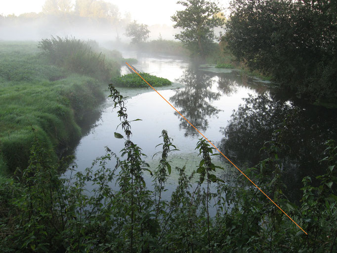 Ufer links, Richtung SW (23.9.12)