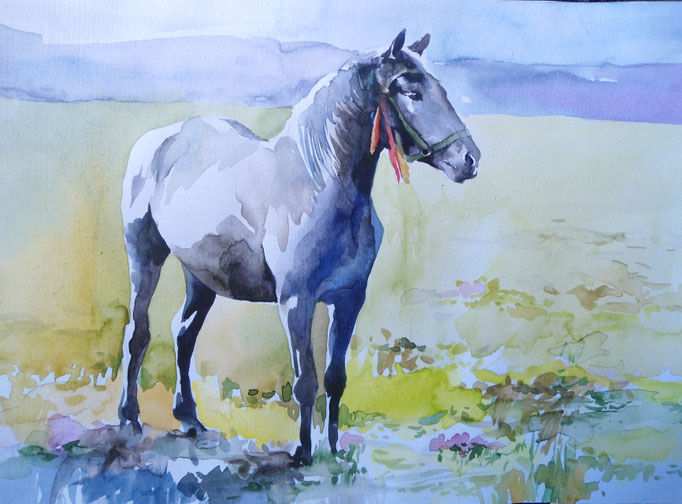 horse, watercolor