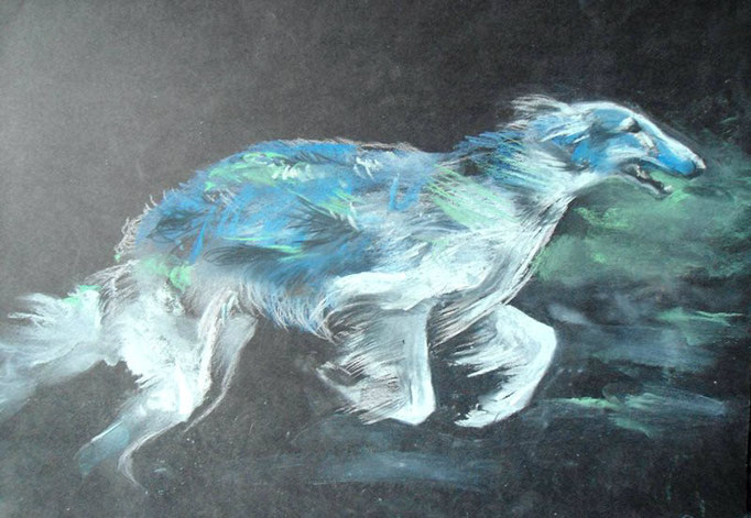 borzoi