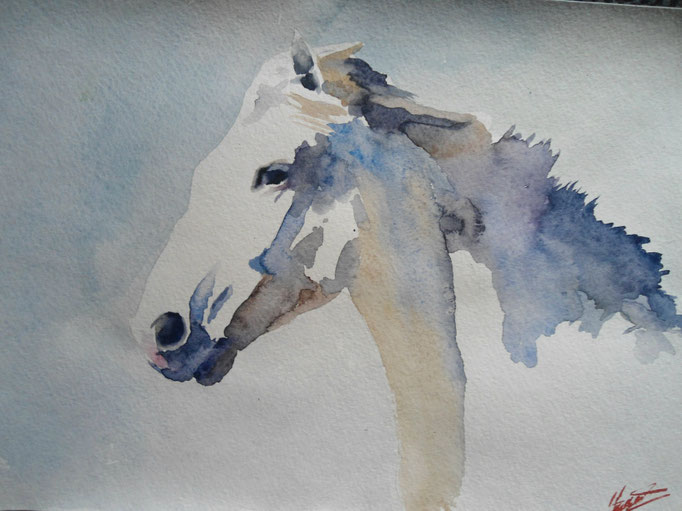 horse, watercolor