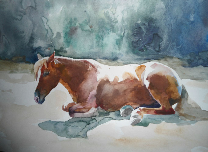 horse, watercolor