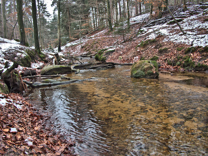 Hasselbach im Winter