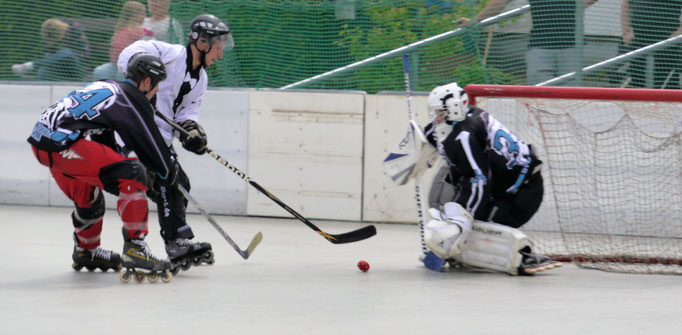 Jan Schneider (Rüsselsheim Royals)