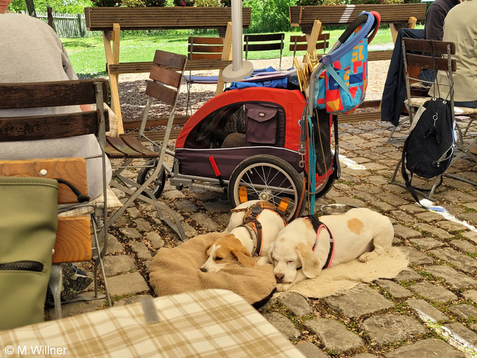 Kraft tanken im Schatten