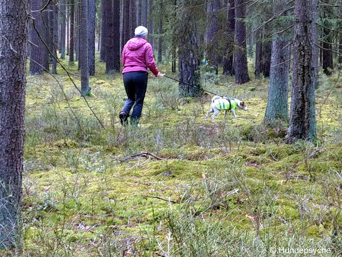 Spurensuche in der Natur