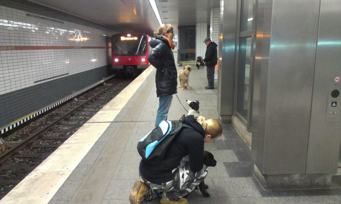 U-Bahn