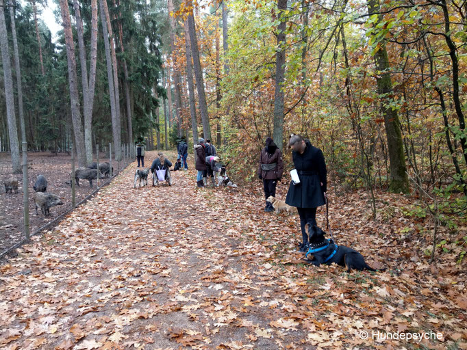 Faberhof Wildpark