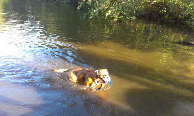 Wasserspiele