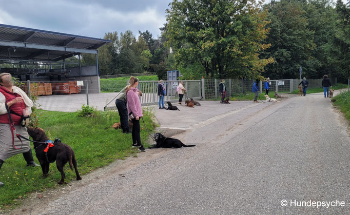 Entspanntes Verhalten
