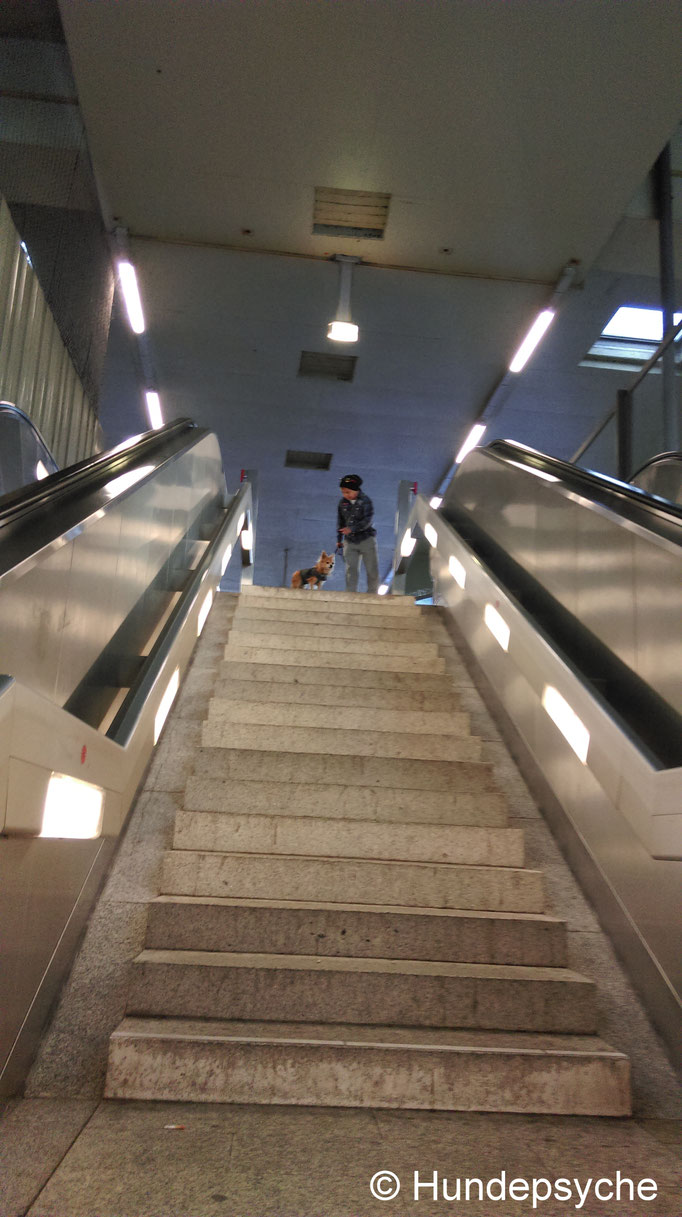U-Bahnhof