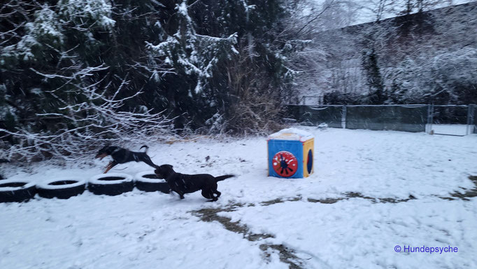 Spaß im Schnee 2026