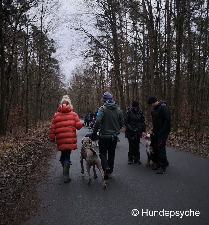 Leinenspaziergang