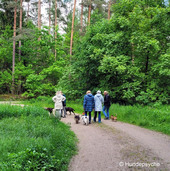 Social Walk