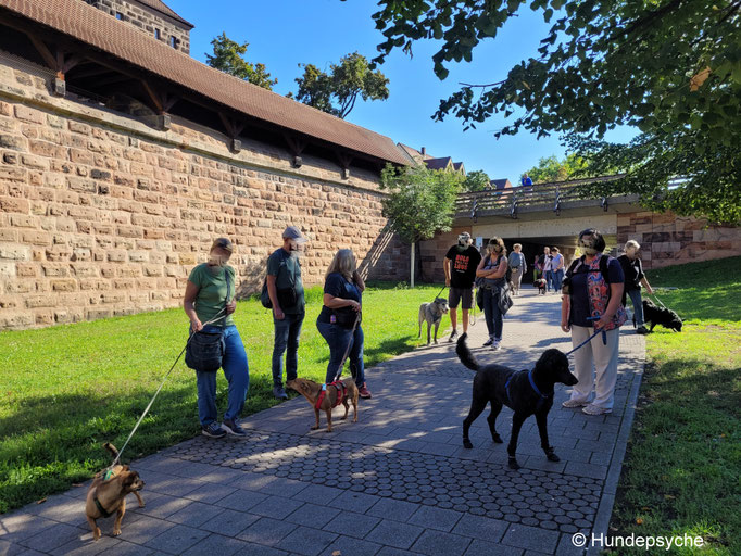 neues entdecken mit Hund