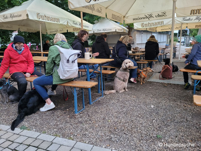 Biergarten mit Hundegruppe