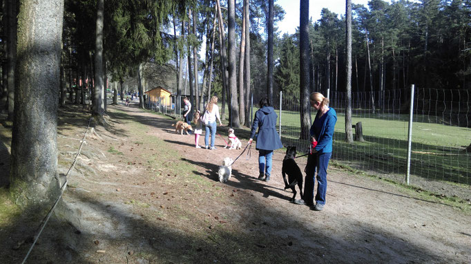 Ausflug zum Wildpark