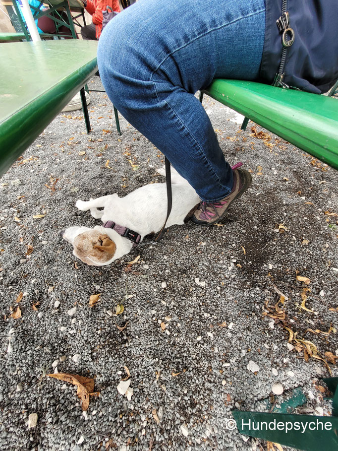 Biergarten
