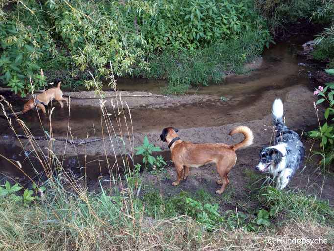 Wasserspaß