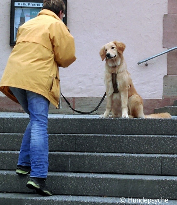 Sitz an Treppe