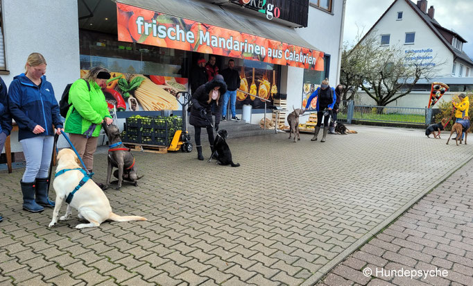 Alltagstraining in der Stadt