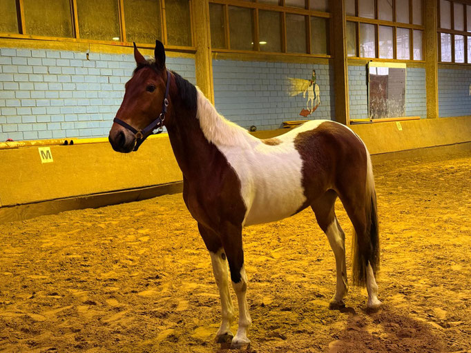 Bild von Tilda