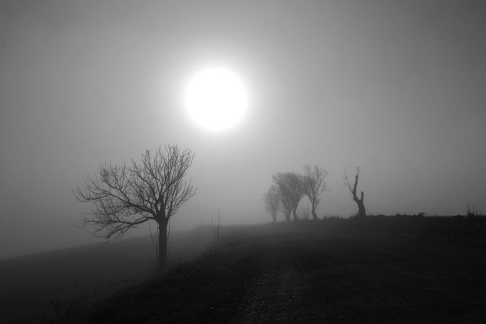 nebbia, nebbia