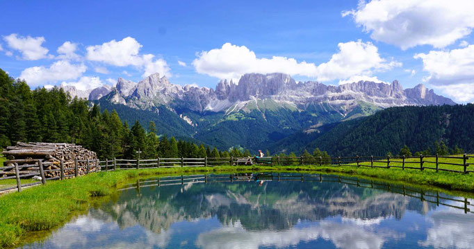 Blick auf den Rosengarten