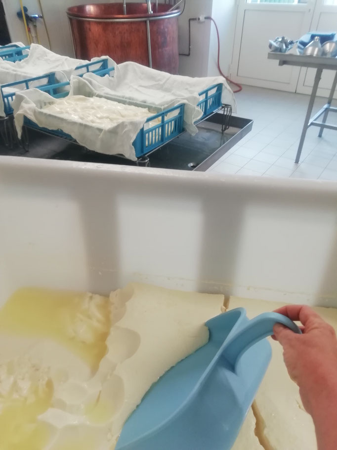 Egouttage du caillé pour les fromages frais et les fromages blancs
