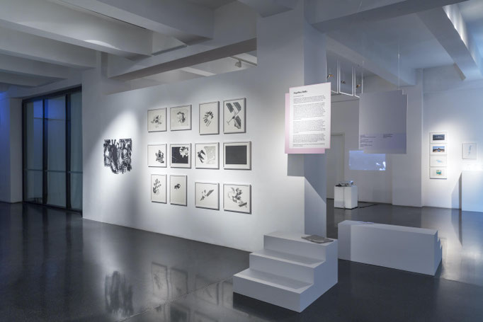 Emerging Artist 2017, Dortmund