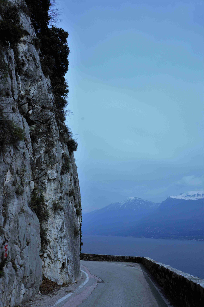 Blick auf den Gardasee / Straße nach Trimonsine