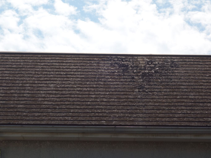 屋根/苔、汚れ