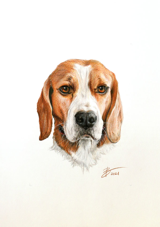 Portrait "Joy" - DIN A4 - Aquarell-Buntstift auf Papier