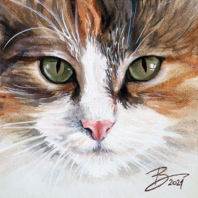 Hauskatze - 15x15cm - Acryl auf Leinwand