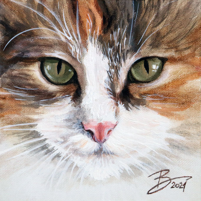 Hauskatze - 15x15cm - Acryl auf Leinwand