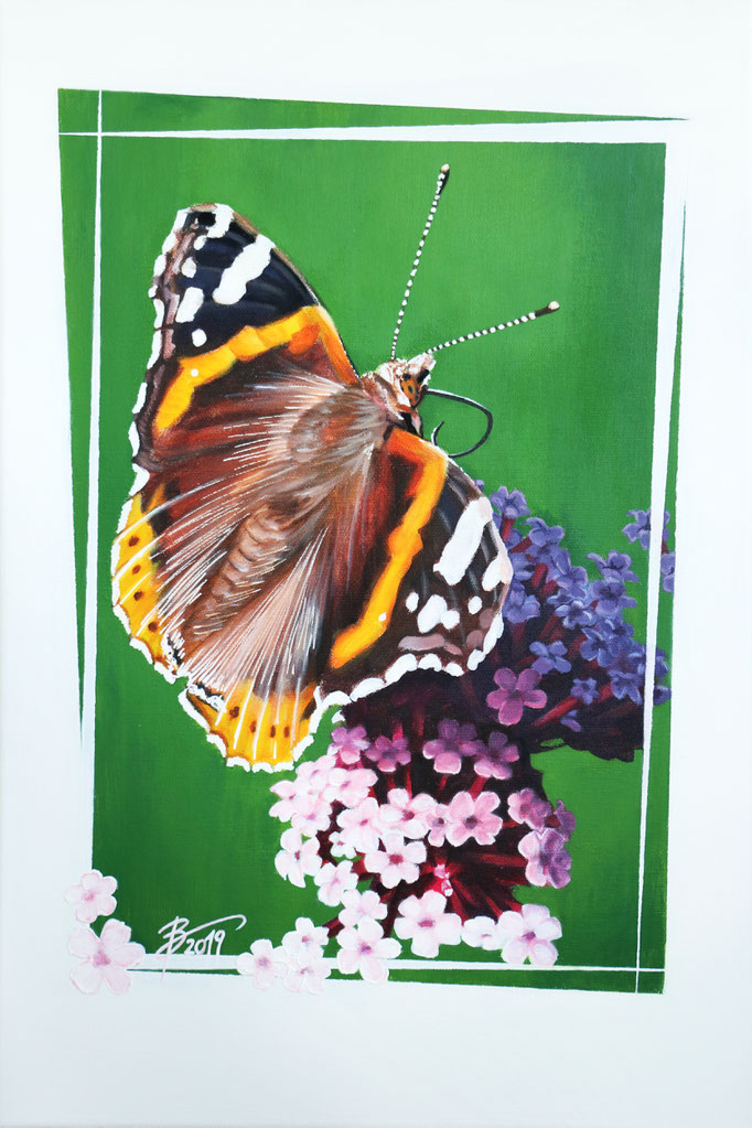 Schmetterling (Admiral) - 40x60cm - Acryl auf Leinwand