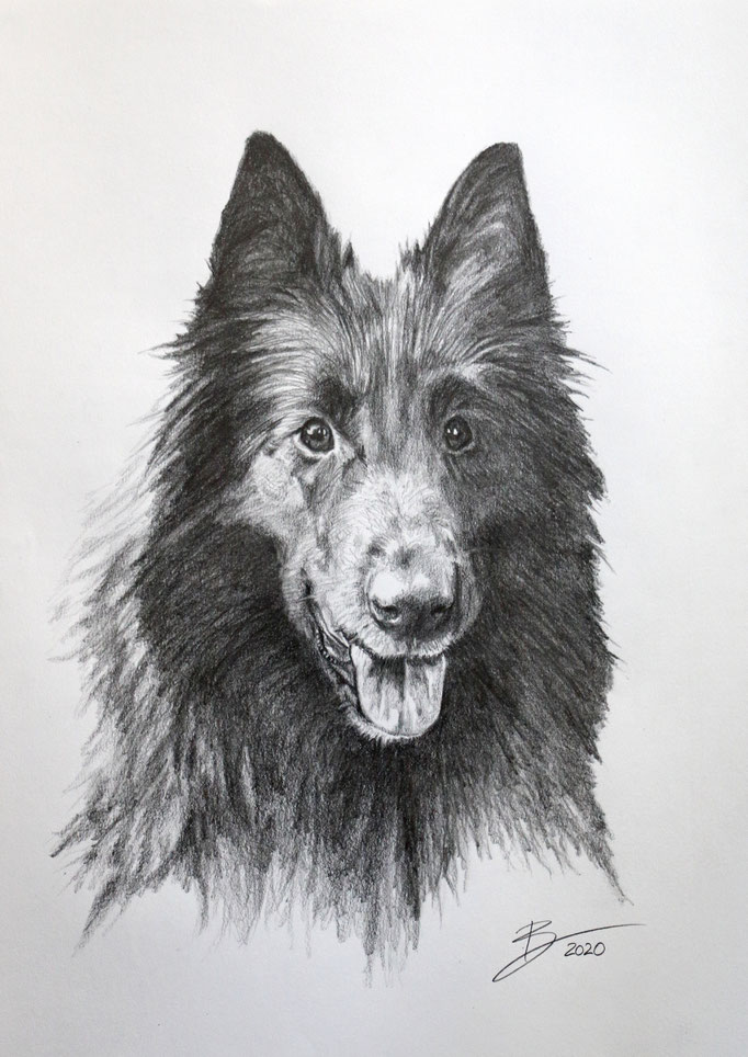 Portrait "Indy" - DIN A3 - Graphitstift auf Papier