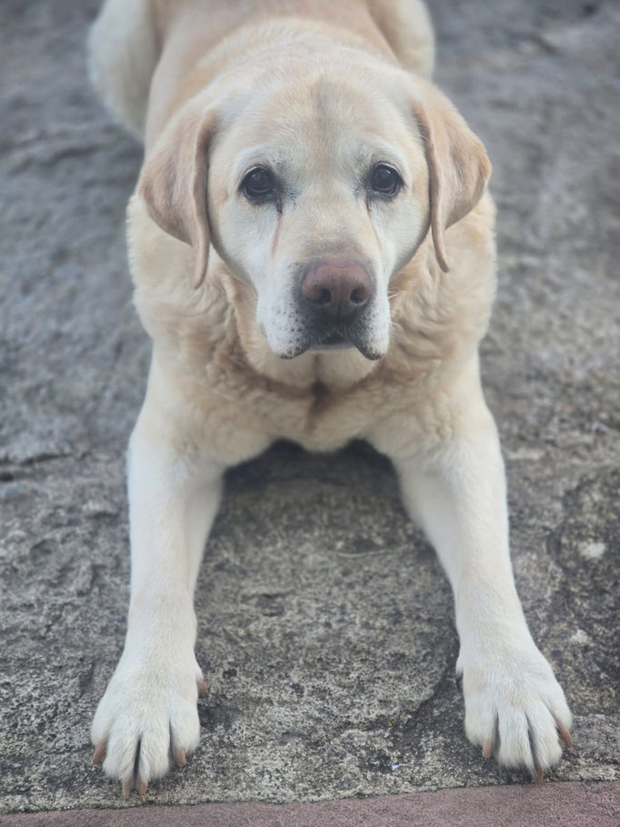 Sunny - 13 Jahre alt