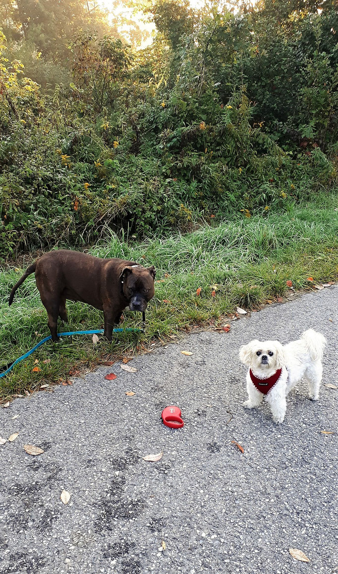 ... mache mit Freund "Rüdiger" die Gegend unsicher ... 11,9J