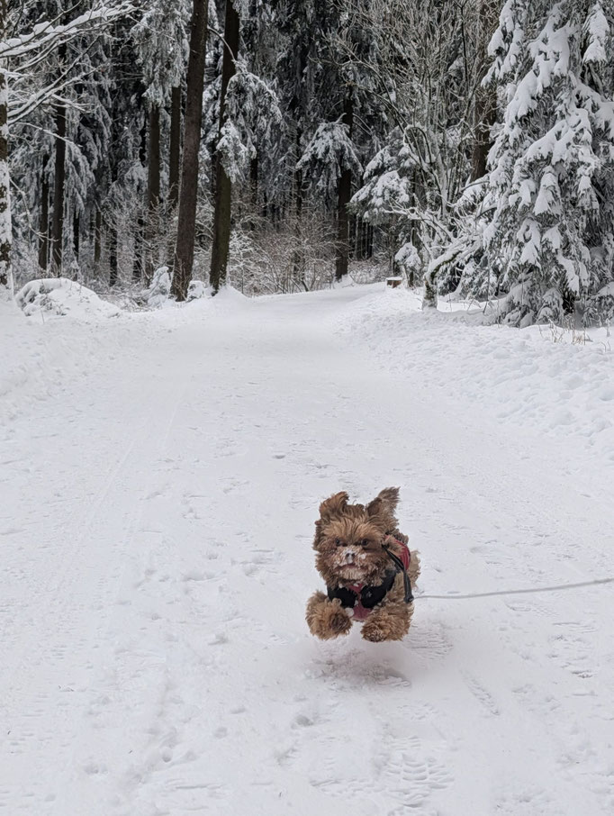 ... ich liebe den Schnee ... 4M