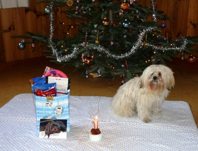... mein erster Geburtstag ... 12 Mo