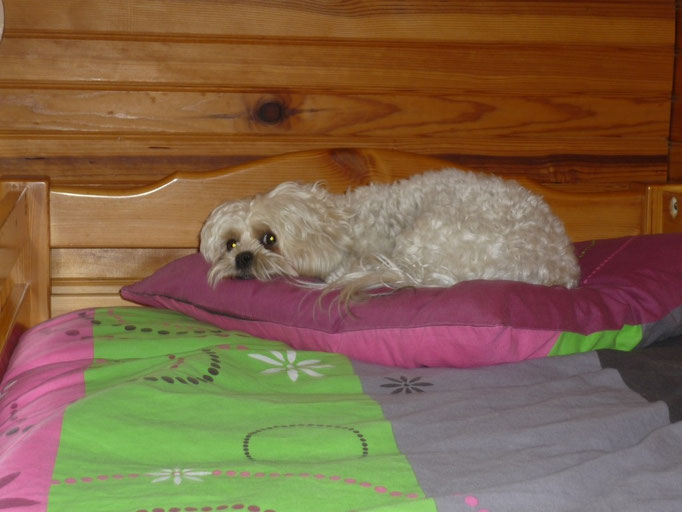 ... ur anstrengend ... mein Urlaub ... 1,6J