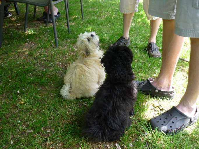 ... Cool ... meine Schwester Alina ist zu Besuch ... 4,5 Mo
