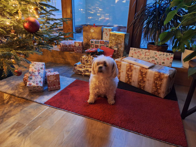 ... Weihnachten 2024 ... 14,11J