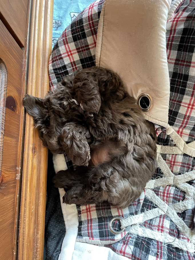 ... schlafe in jeder Position ... 8W