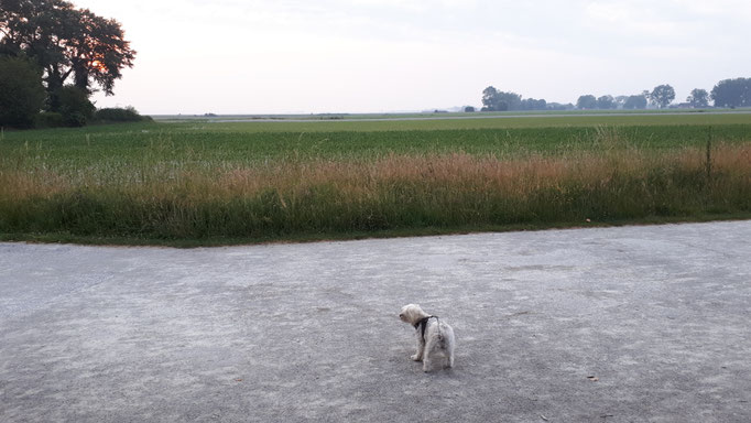 ... wo geht´s da weiter ... 14J