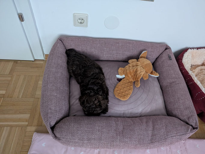 ... kurz mal rasten ... 9W