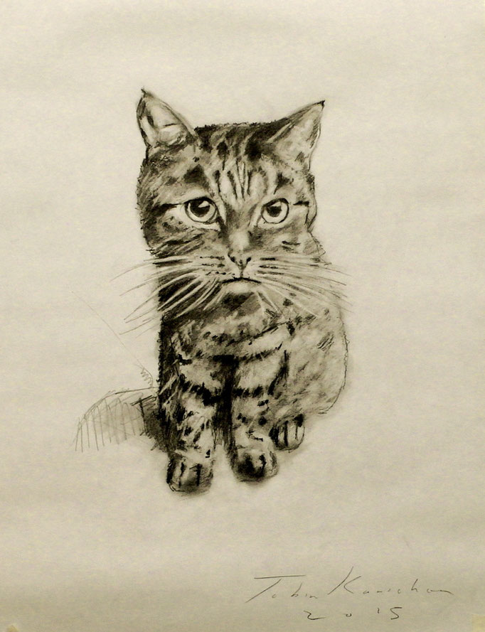 Mina-pencil on paper-22x30